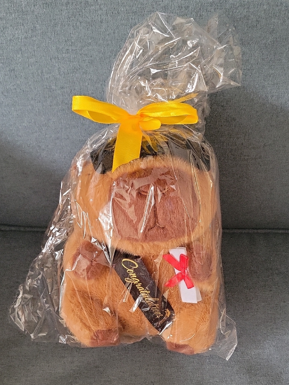 NWT Graduation Capybara. Capybara with Tassel Graduation Cap and Congrats Sash
